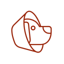 pet surgery collar icon